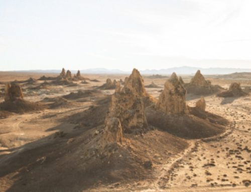 5. Waste Land | My Study