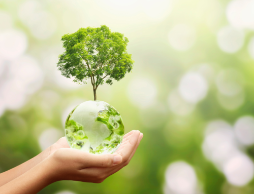34. Environment | My Perspective