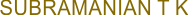 subramaniantk.com Logo